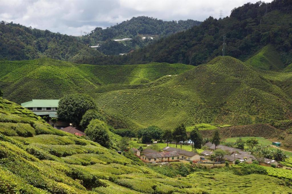 Oyo 1231 Ar Rayyan Boutique Hotel Cameron Highlands Exterior foto