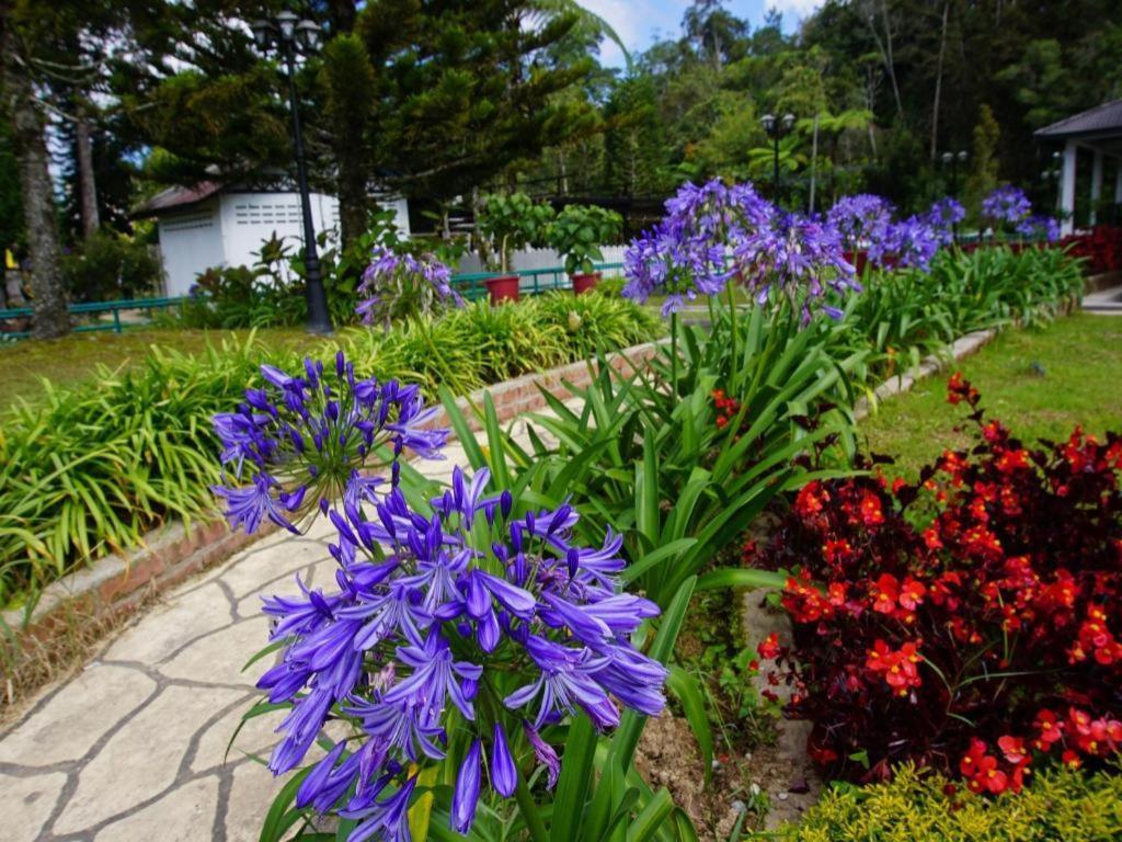 Oyo 1231 Ar Rayyan Boutique Hotel Cameron Highlands Exterior foto