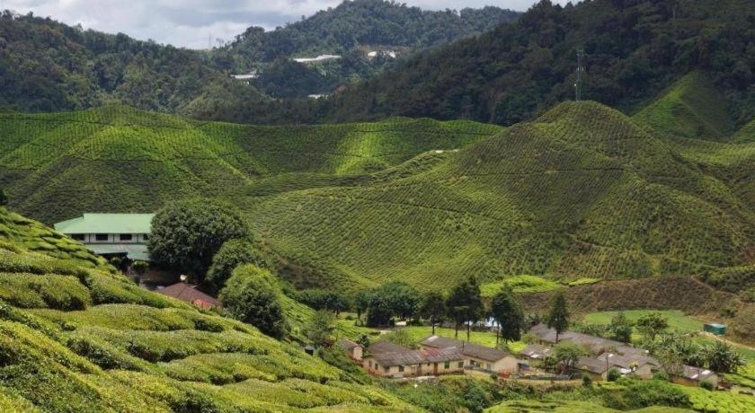 Oyo 1231 Ar Rayyan Boutique Hotel Cameron Highlands Exterior foto