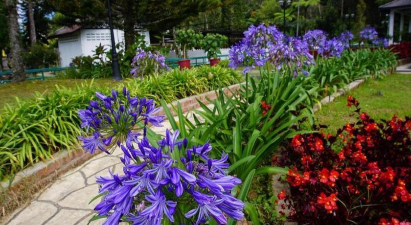 Oyo 1231 Ar Rayyan Boutique Hotel Cameron Highlands Exterior foto